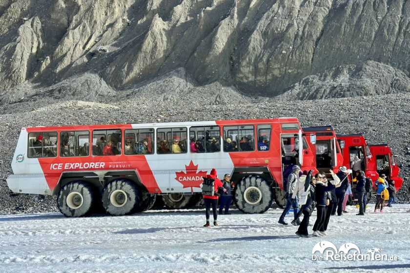 Columbia Icefield (17)