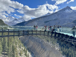 Columbia Icefield (19)