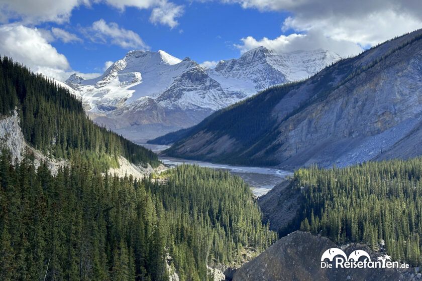 Columbia Icefield (20)