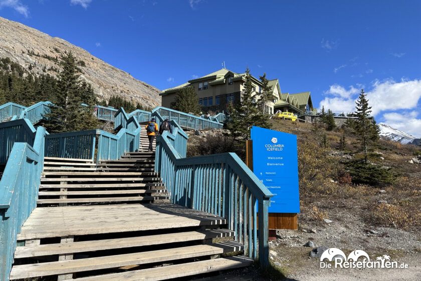 Columbia Icefield (23)