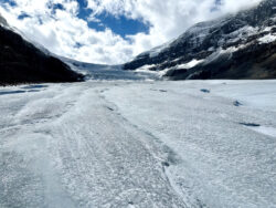 Columbia Icefield (4)