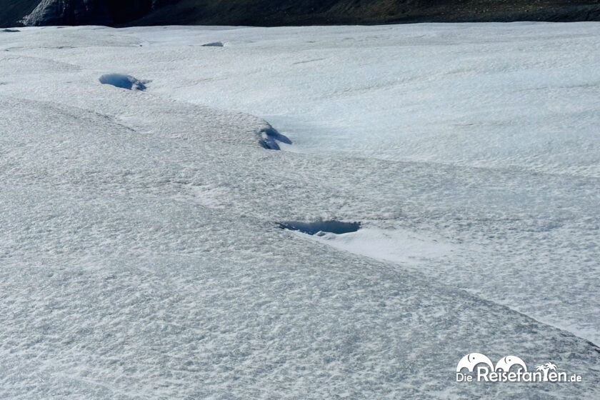 Columbia Icefield (6)