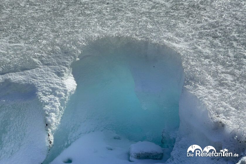 Columbia Icefield (7)