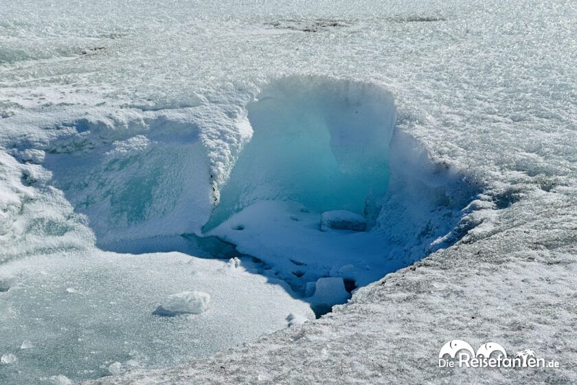 Columbia Icefield (8)