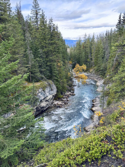 Maligne Canyon (25)