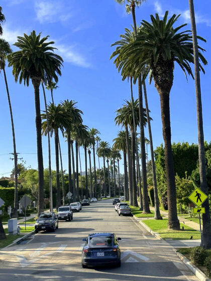 Beverly Hills (13)