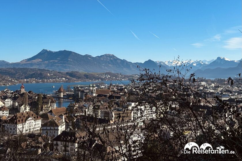 Luzern (8)