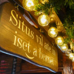 Auf dem Weihnachtsmarkt in Bonn (10)