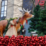 Auf dem Weihnachtsmarkt in Bonn (2)