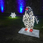 Christmas Garden auf Festung Ehrenbreitstein (20)