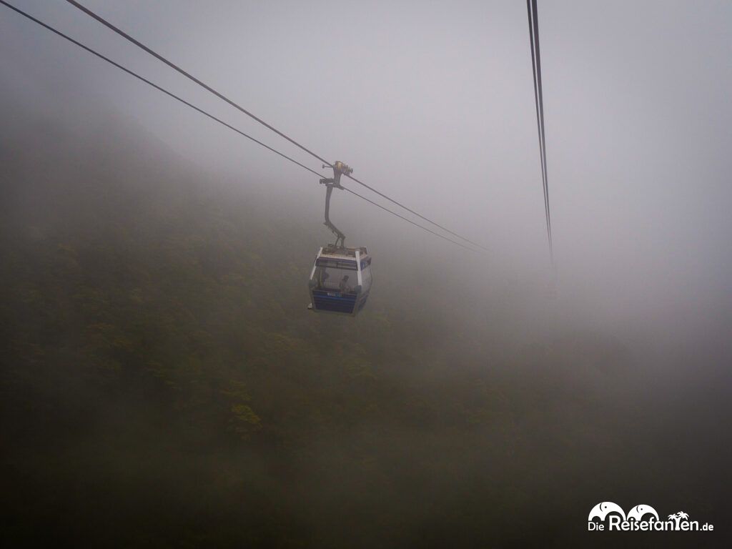 Ein Ausflug zum Tian Tan Buddha (2)