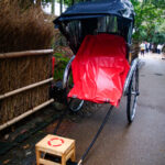 Der Zauber des Arashiyama Bamboo Forest (10)