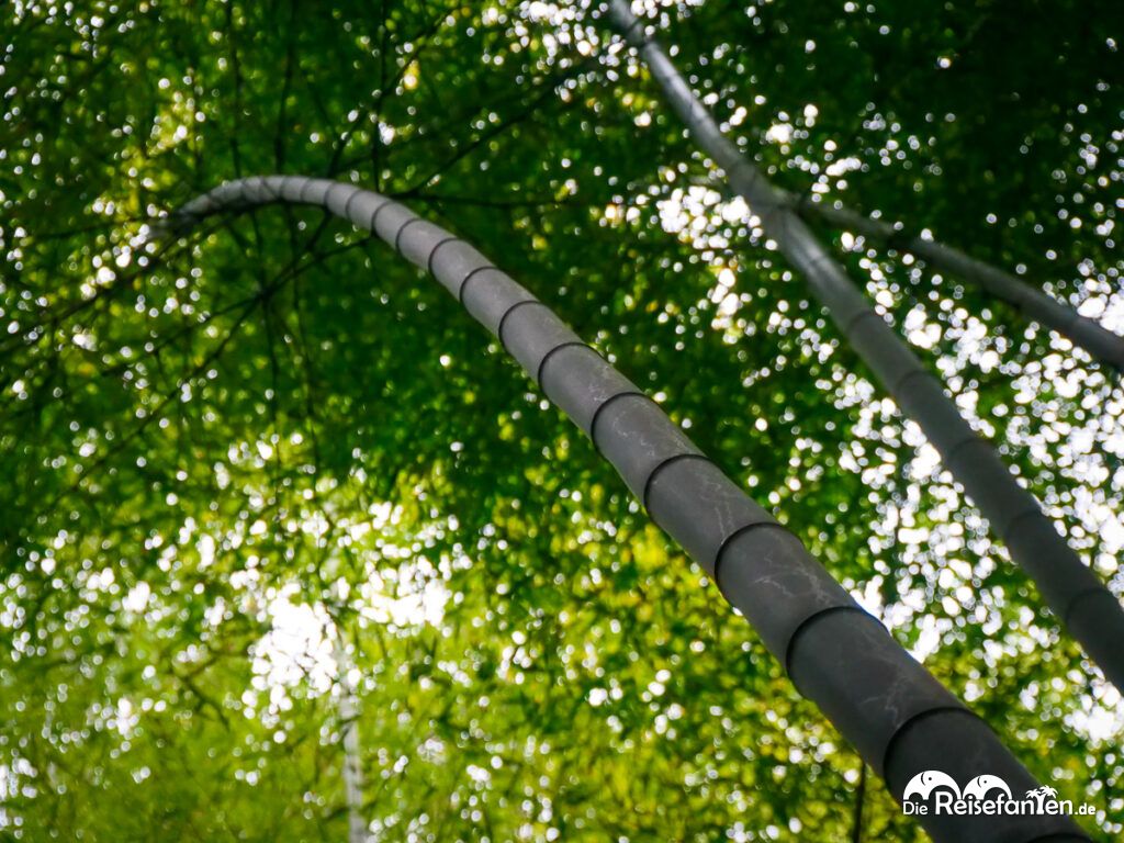 Der Zauber des Arashiyama Bamboo Forest (13)