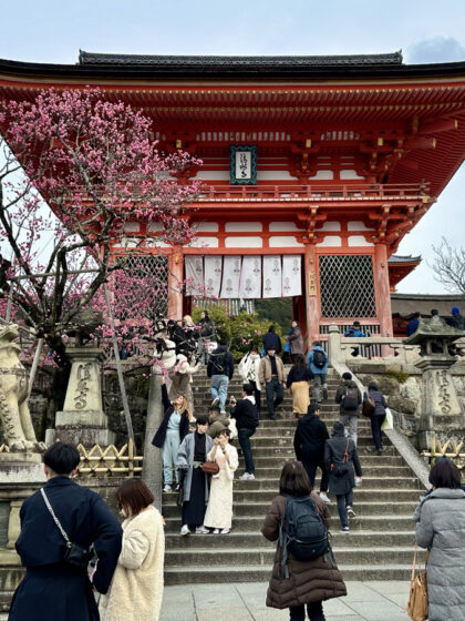 Gion (10)