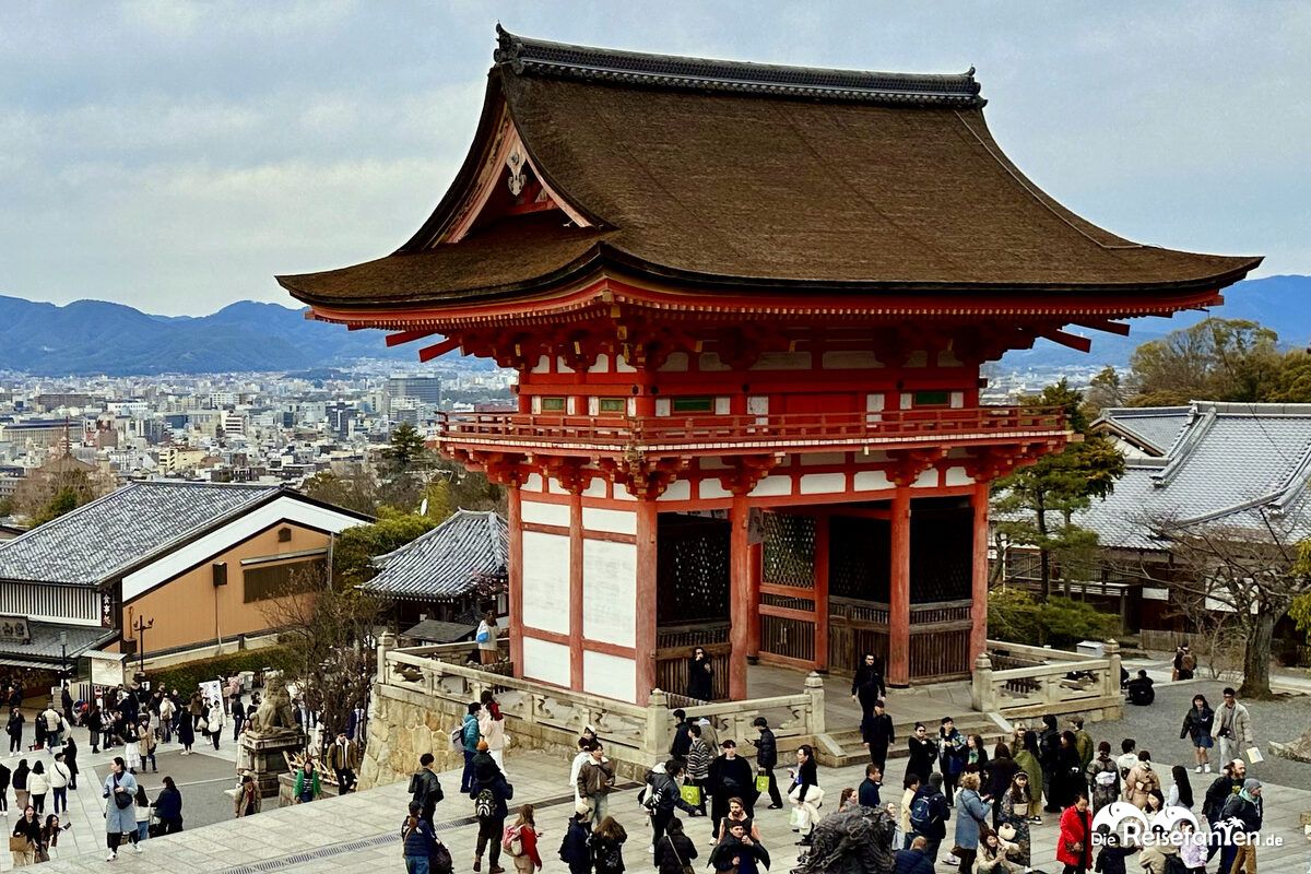 Gion (12)