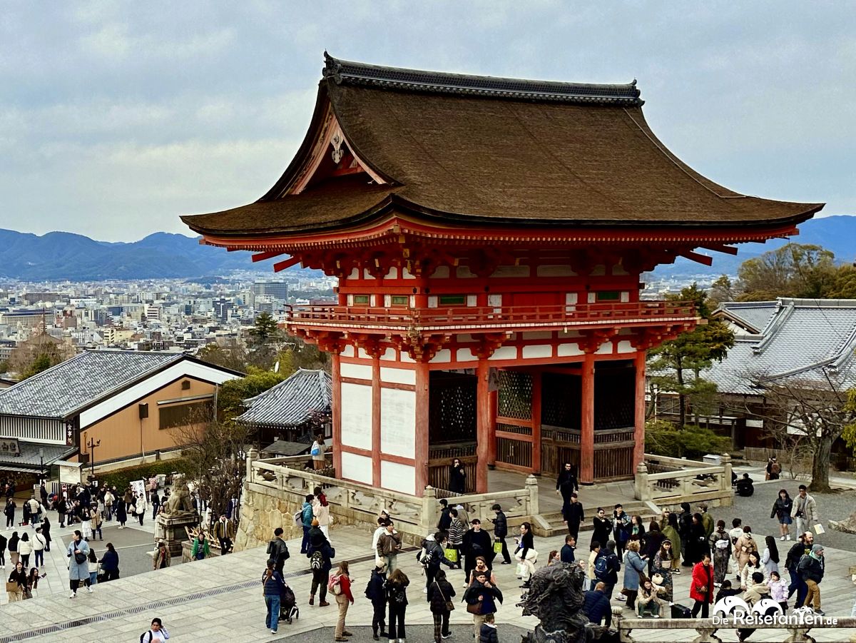 Gion (12)