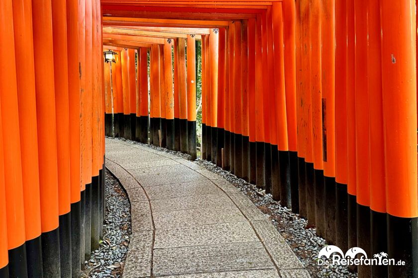 Inari Shrine (10)