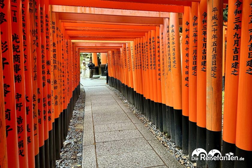 Inari Shrine (9)