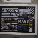 Die berühmte Shibuya Kreuzung (1)