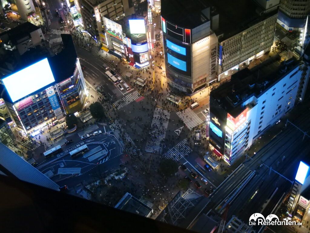 Die berühmte Shibuya Kreuzung (10)