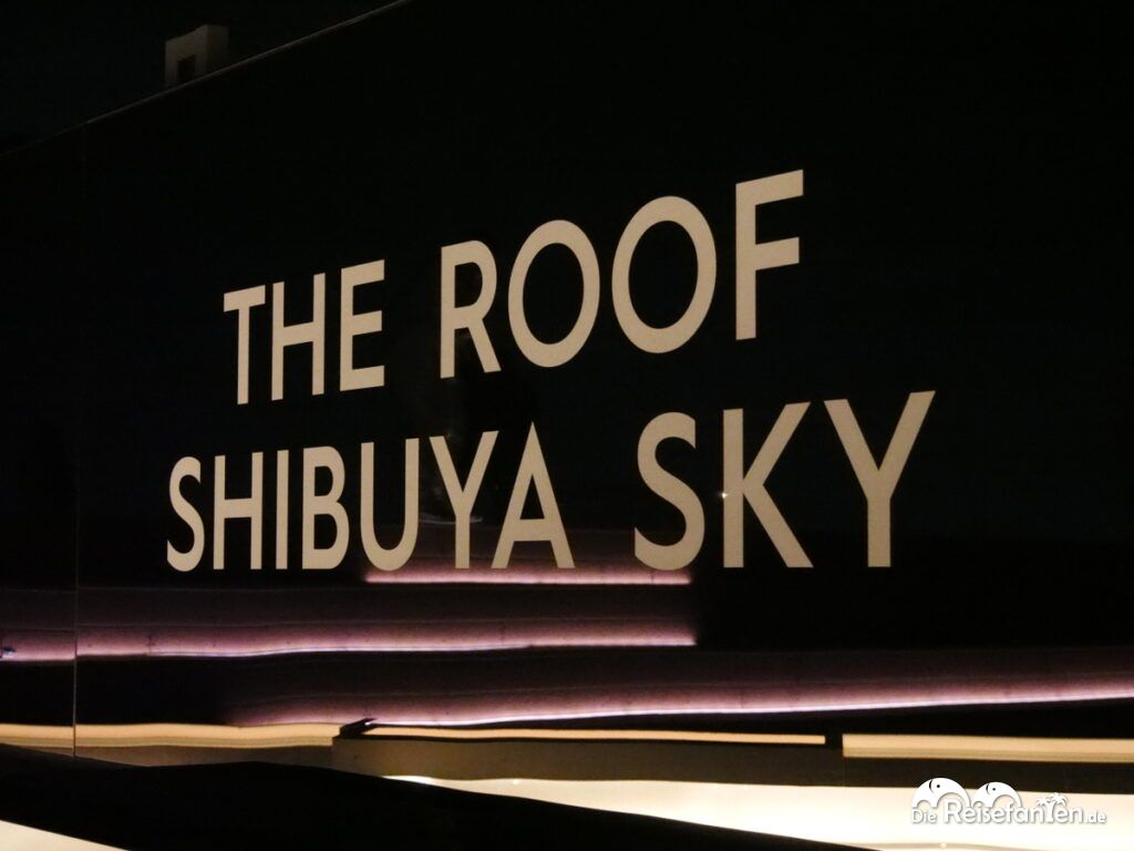 Die berühmte Shibuya Kreuzung (11)