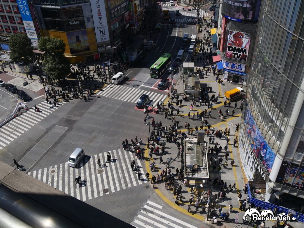 Die berühmte Shibuya Kreuzung (3)