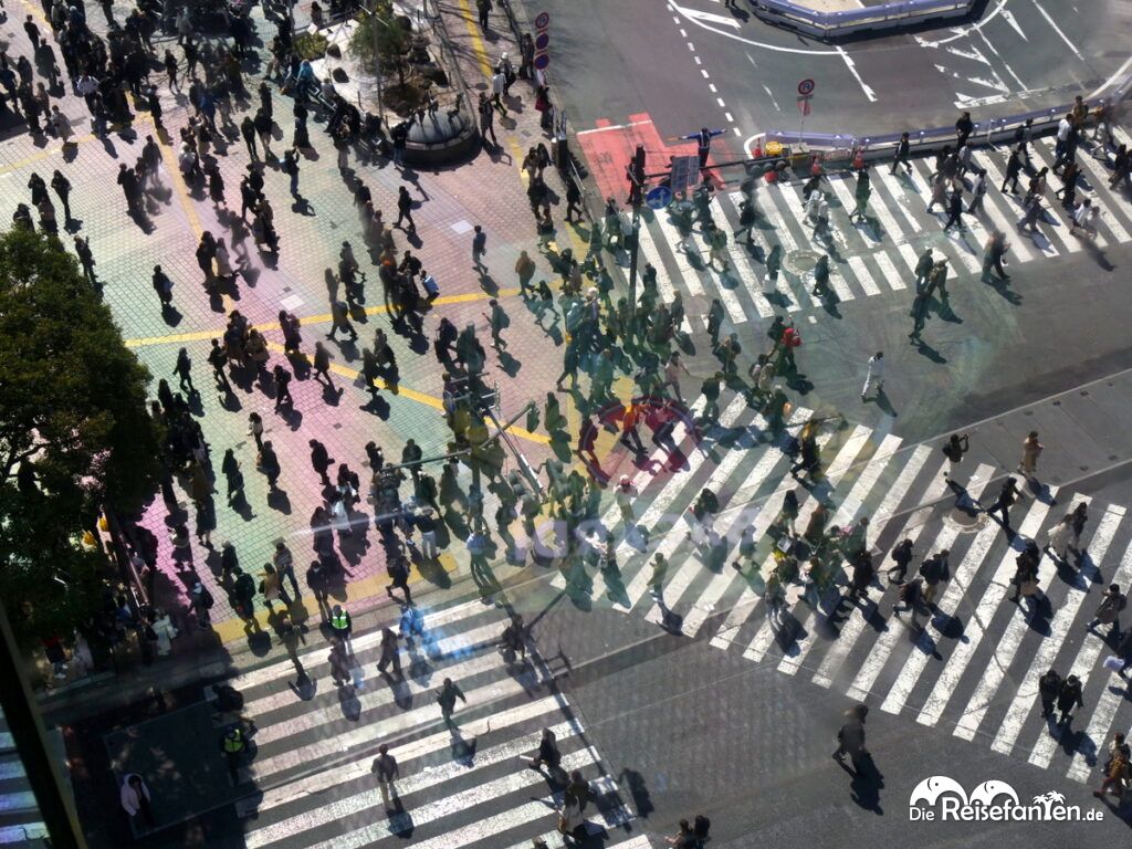 Die berühmte Shibuya Kreuzung (5)