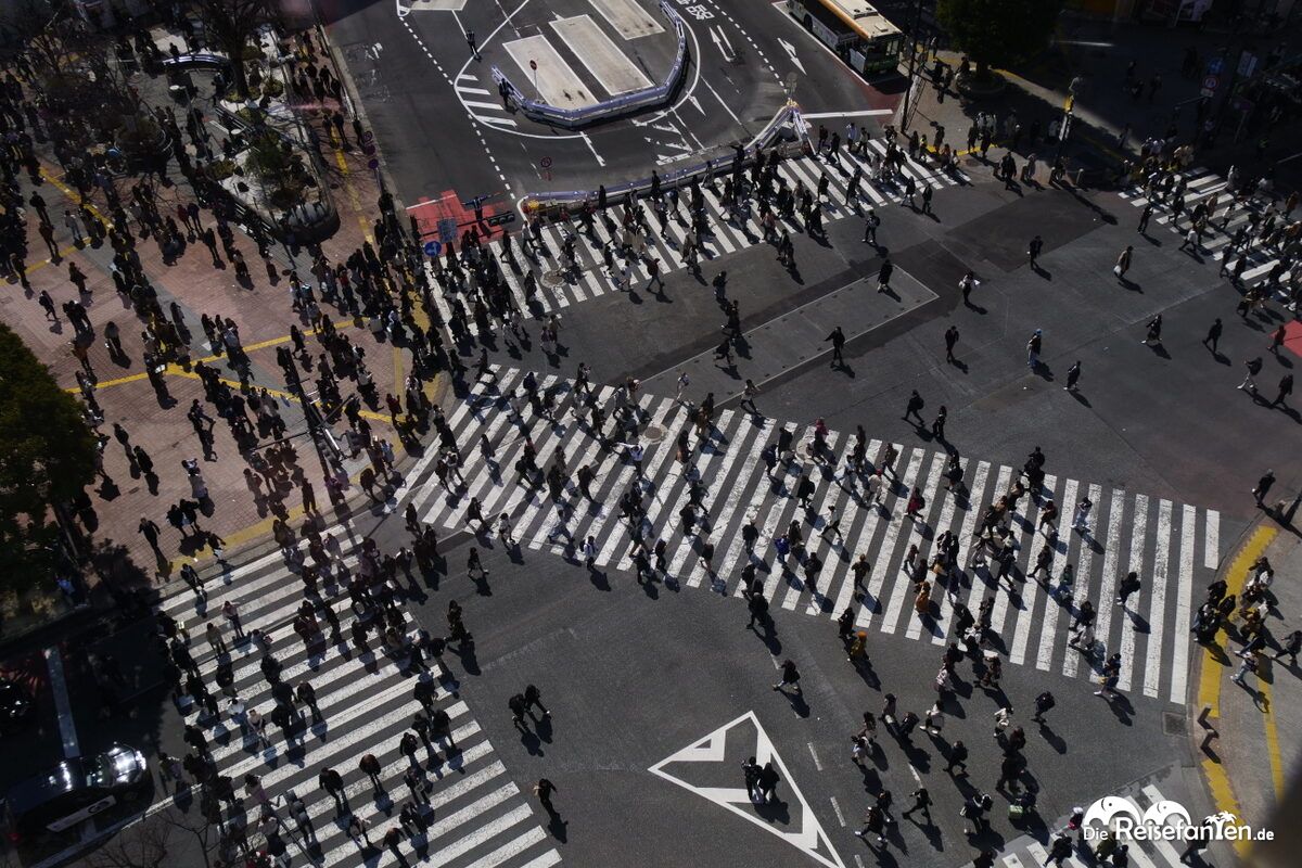 Die berühmte Shibuya Kreuzung (7)