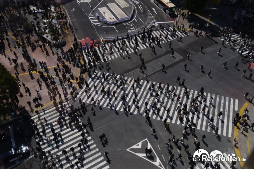 Die berühmte Shibuya Kreuzung (7)