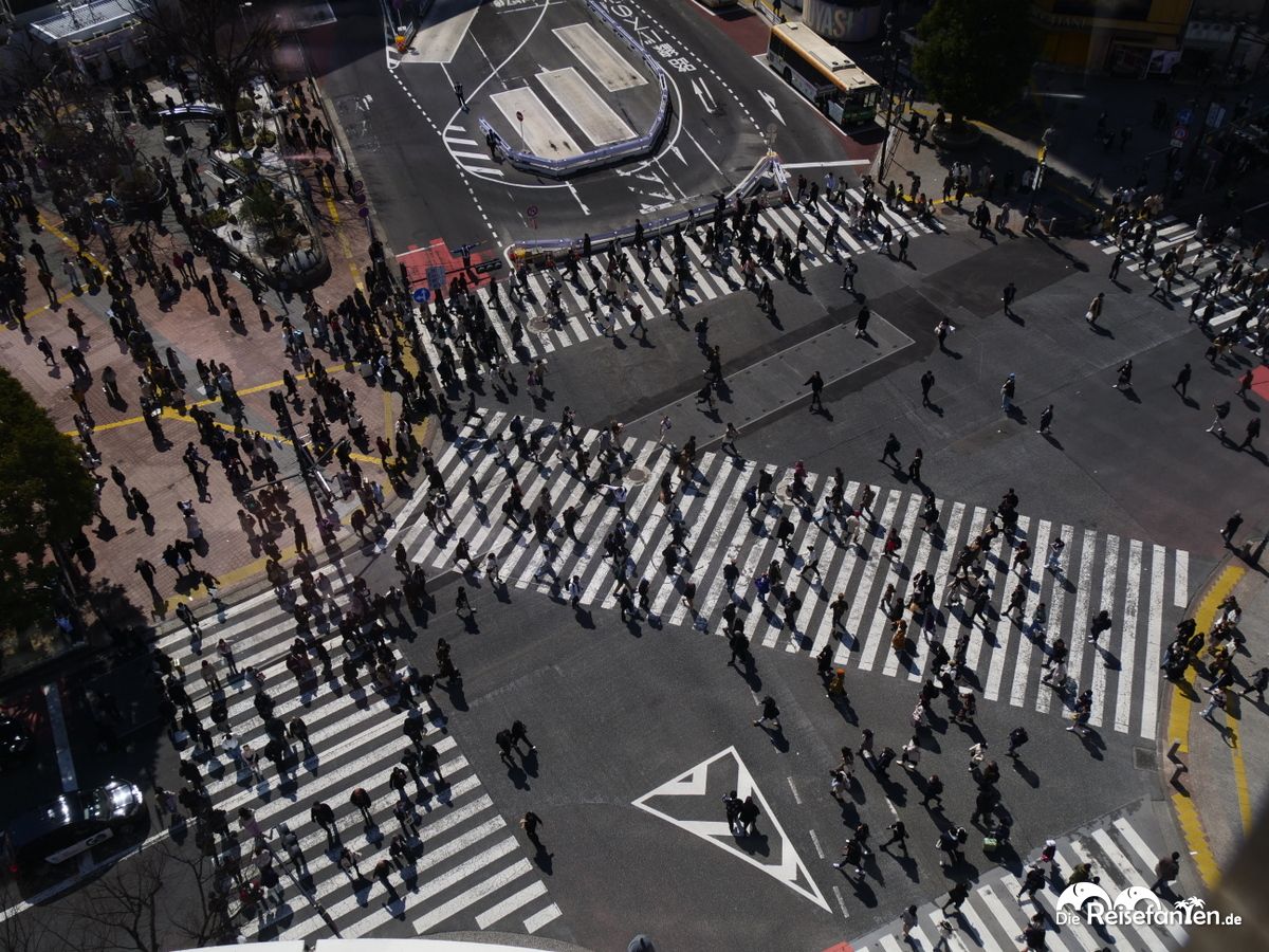Die berühmte Shibuya Kreuzung (7)