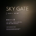 Die berühmte Shibuya Kreuzung (9)