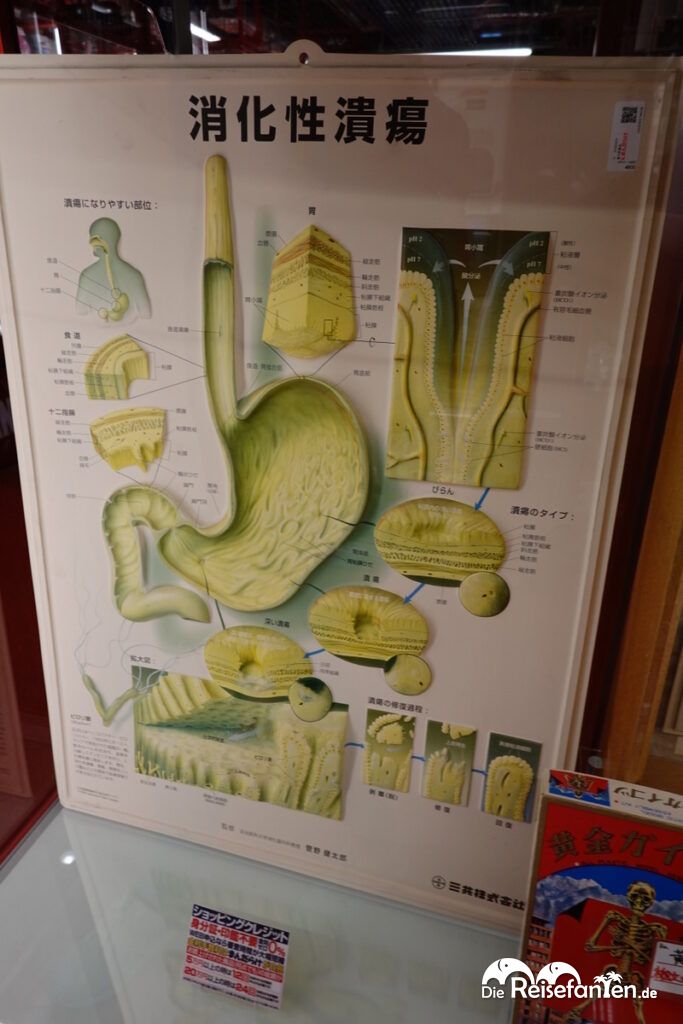 Einkaufen in Japan (5)