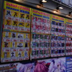 Kuriositäten aus Japan Teil 1_ (3)