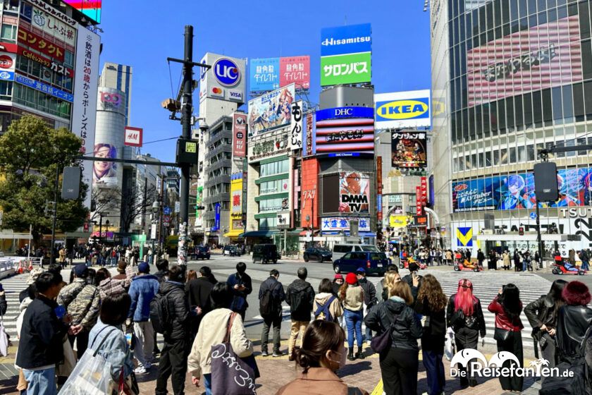 Shibuya (26)