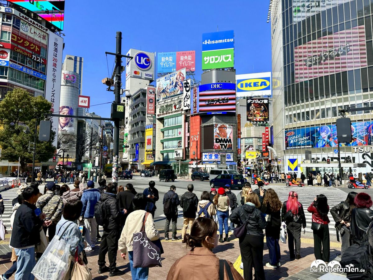 Shibuya (26)
