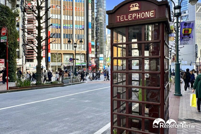 Shibuya (8)