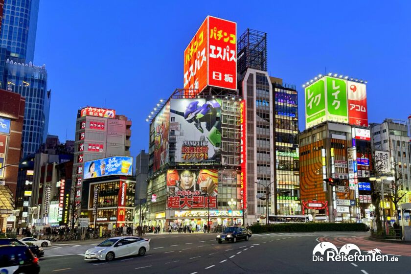 Shinjuku (13)