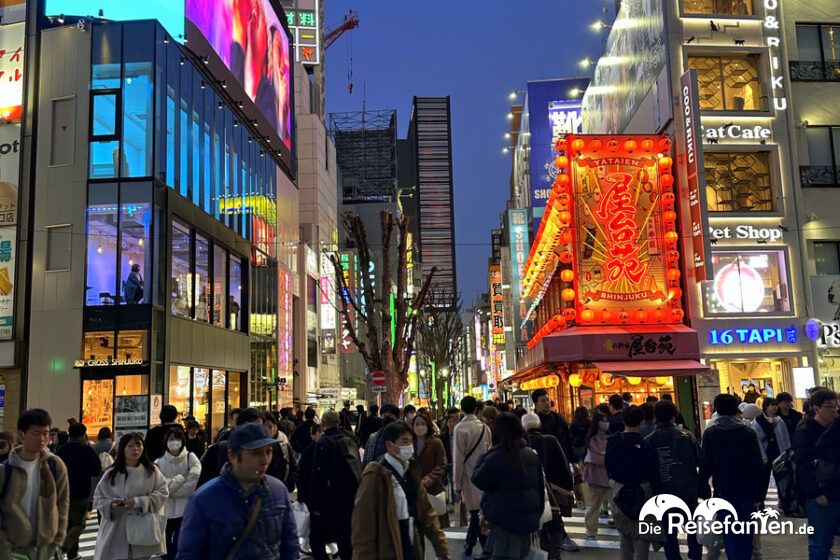 Shinjuku (15)