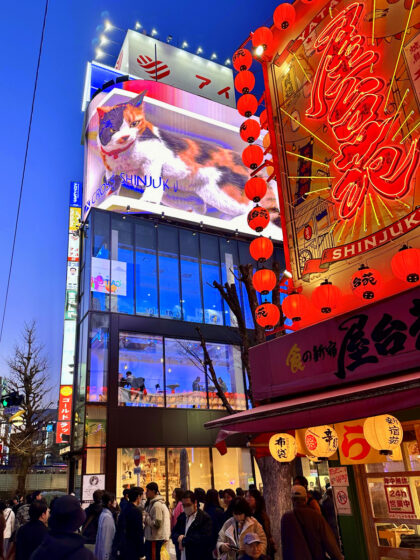 Shinjuku (16)
