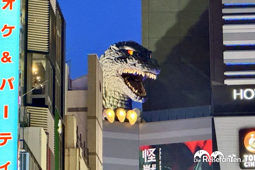 Shinjuku (3)