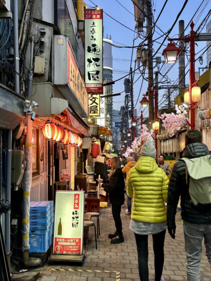 Shinjuku (7)