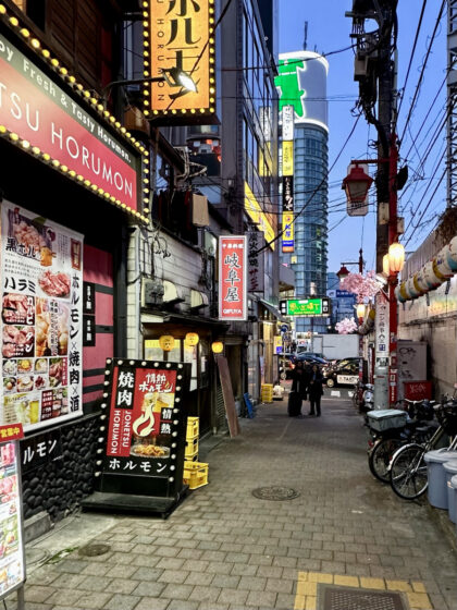 Shinjuku (9)