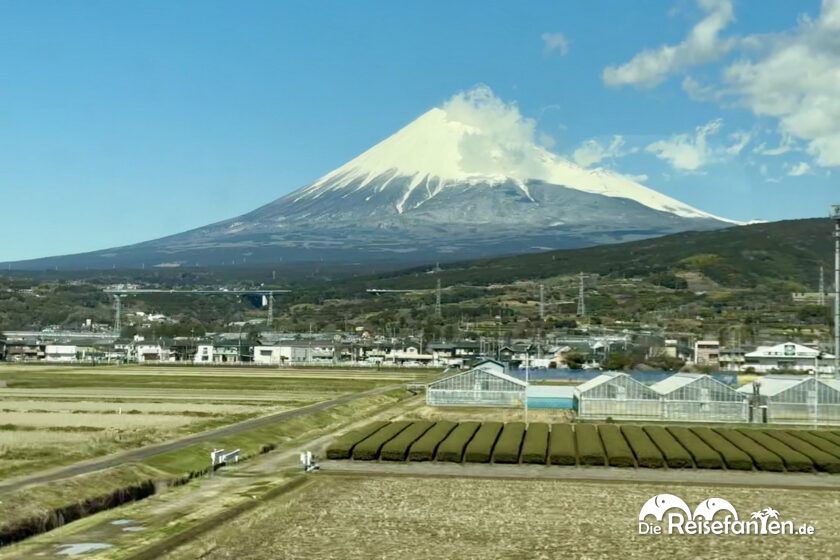 Shinkansen (11)