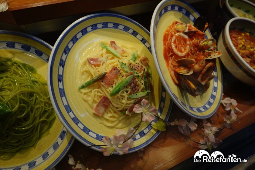 Shokuhin Sanpuru in Japan (13)