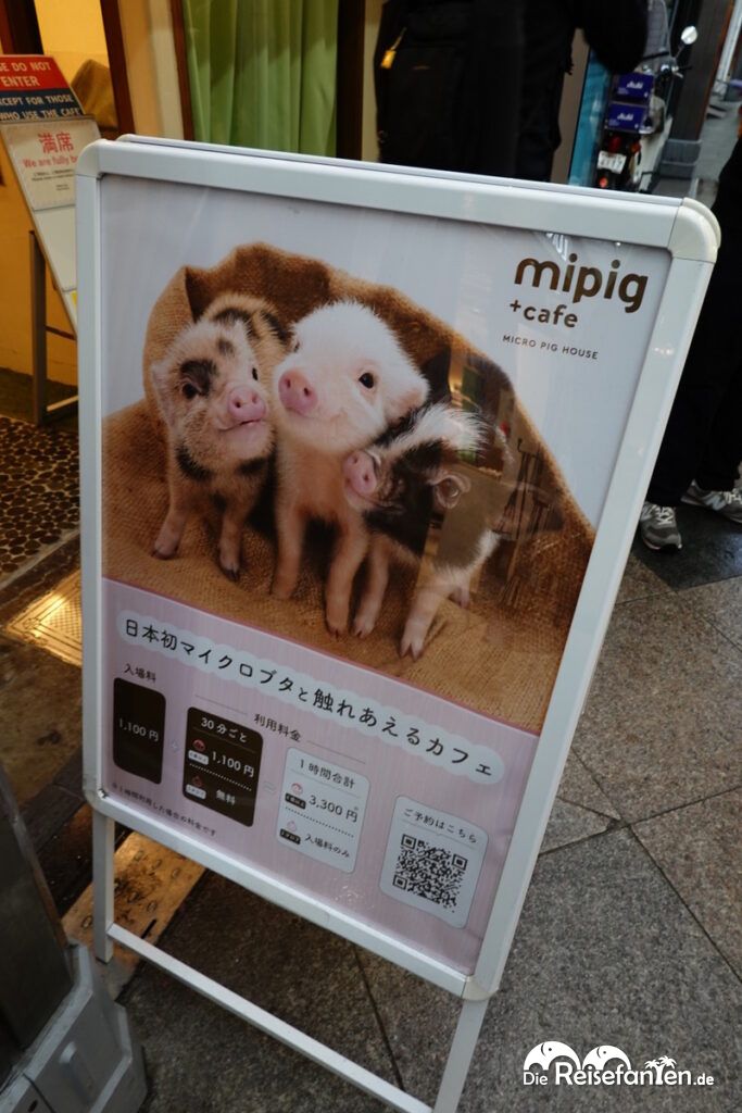 Tiere und Gamer in Japan (1)