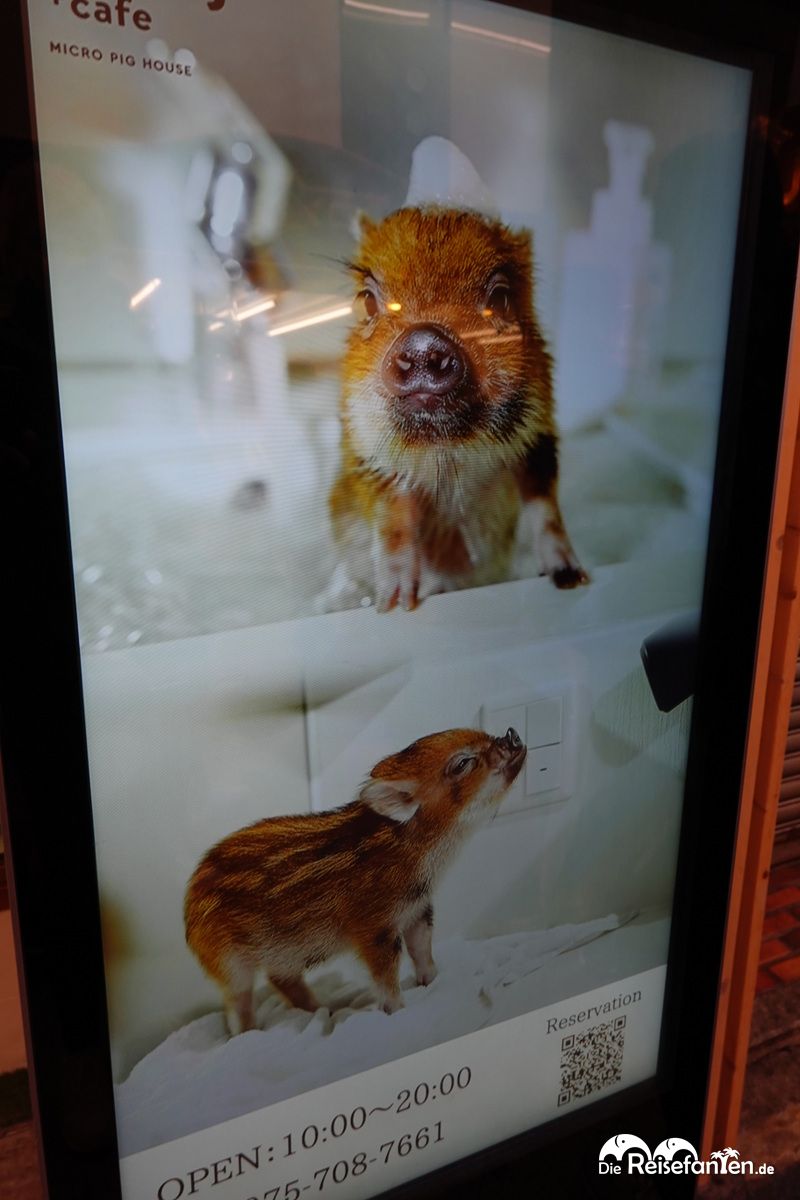 Tiere und Gamer in Japan (2)