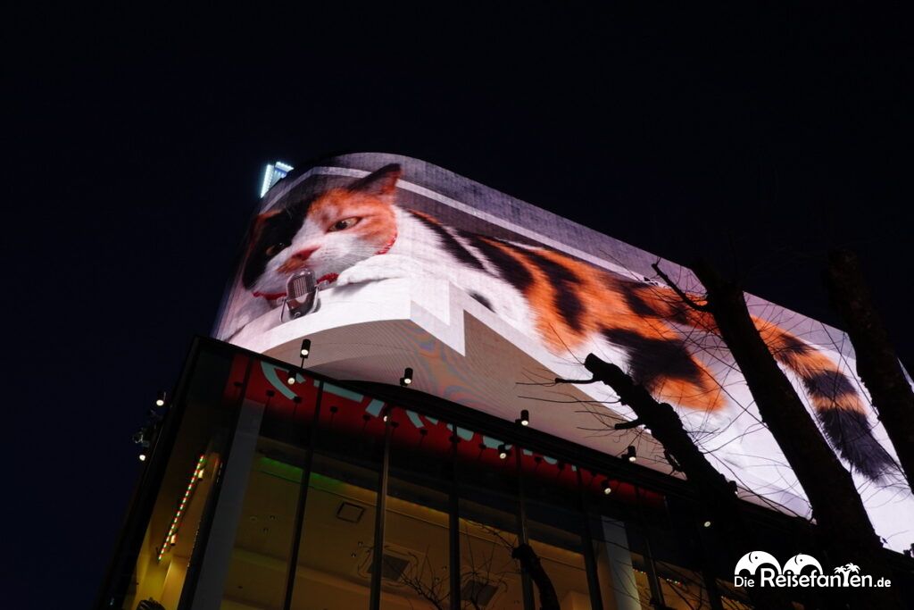 Tiere und Gamer in Japan (6)