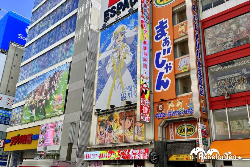 Akihabara (12)