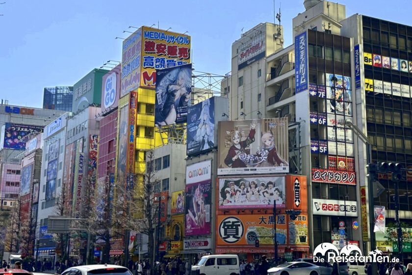 Akihabara (20)