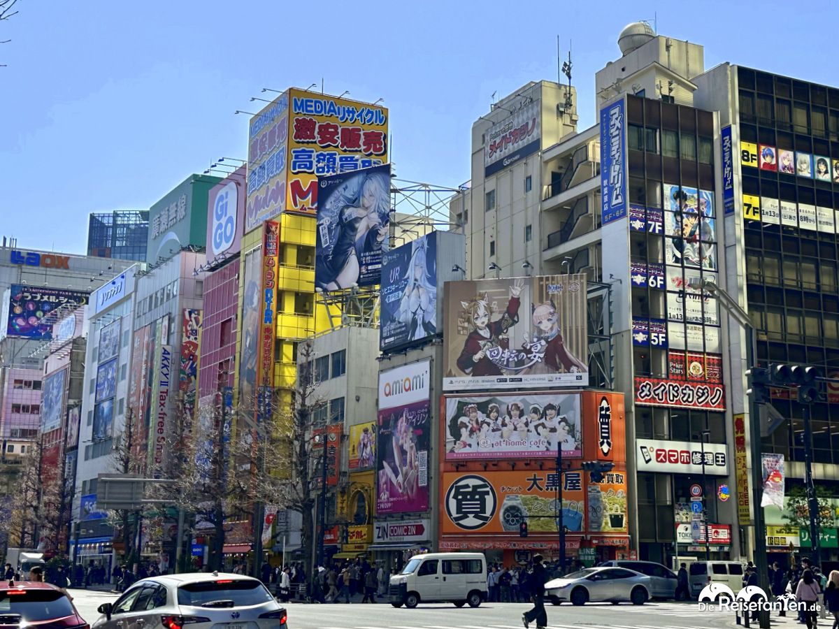 Akihabara (20)